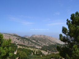 Valle de Leiva-Perdiz 2010